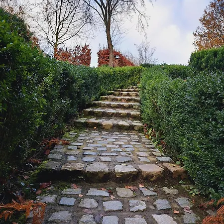 Dri Les Courtils * La-Roche-en-Ardenne