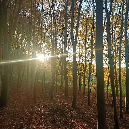 Dri Les Courtils Hébergement de vacances *